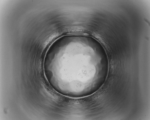 X0000102290679200808011513