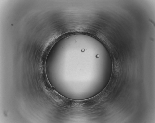 X0000102290680200808011513