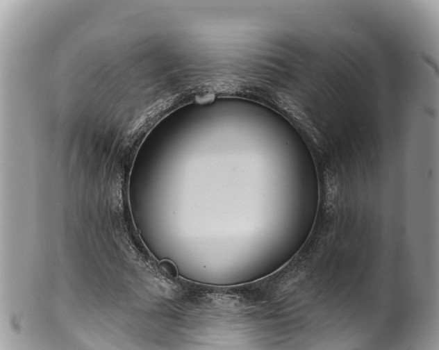 X0000102290681200808011513