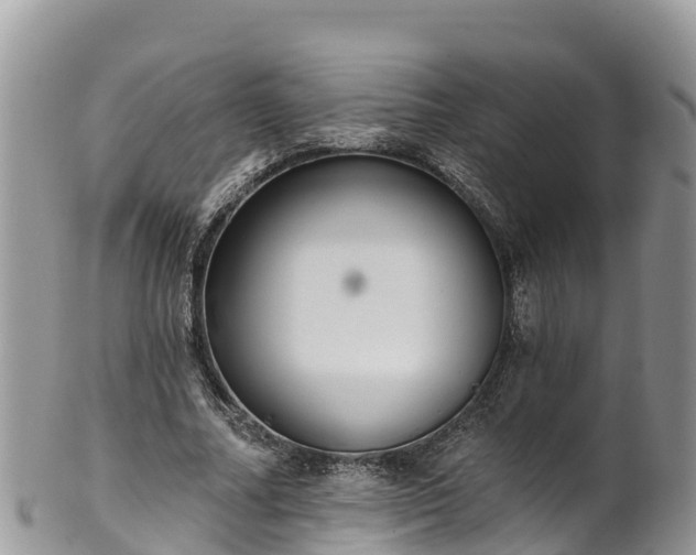 X0000102290682200808011513