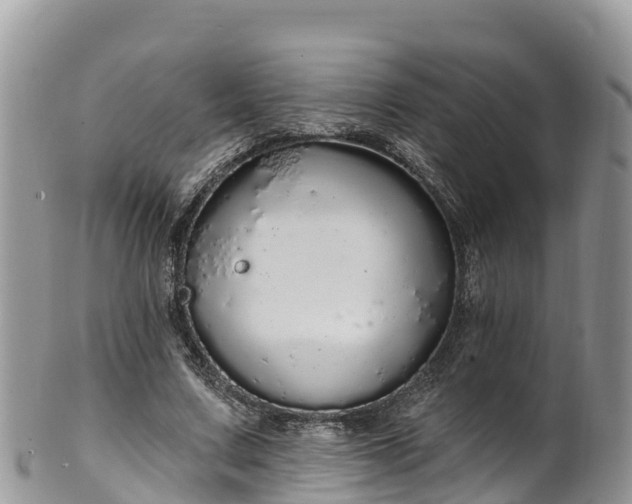 X0000102290683200808011513