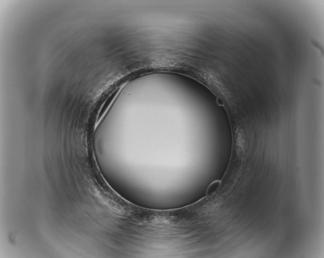 X0000102290684200808011513