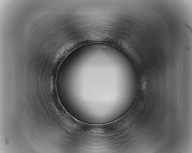 X0000102290685200808011513