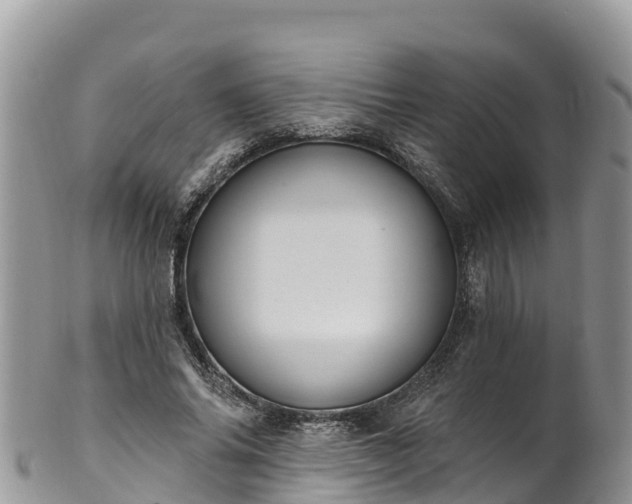 X0000102290686200808011513