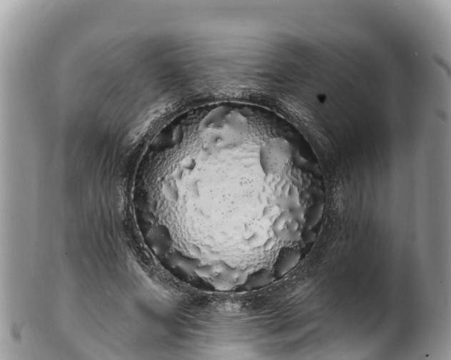 X0000102290687200808011513