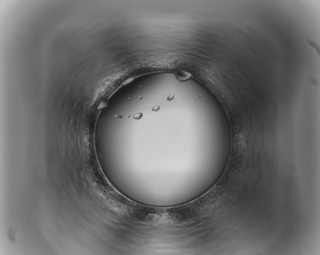 X0000102290688200808011513