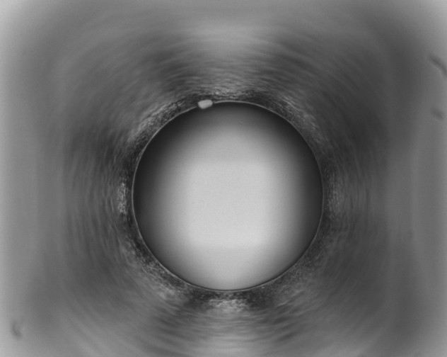 X0000102290689200808011513