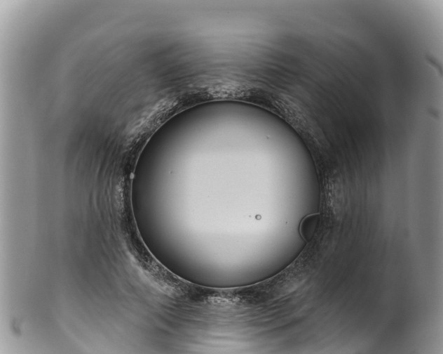 X0000102290690200808011513