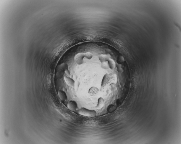 X0000102290691200808011513