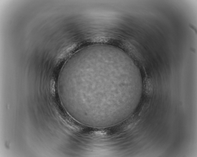 X0000102290692200808011513