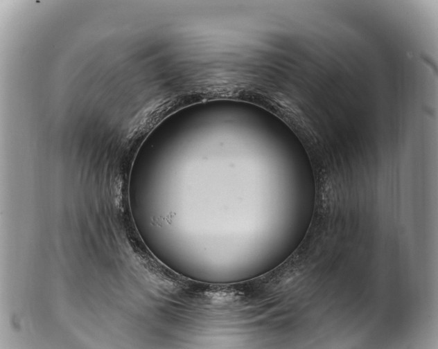 X0000102290693200808011513