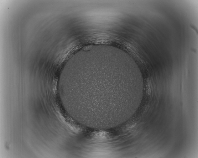 X0000102290695200808011513