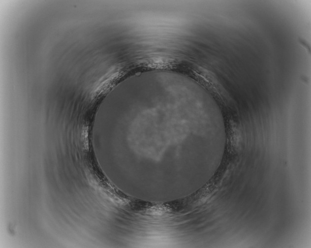 X0000102290696200808011513