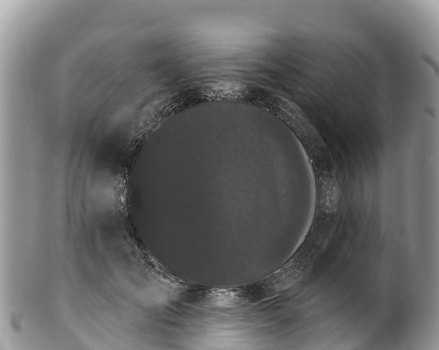 X0000102290701200808011513