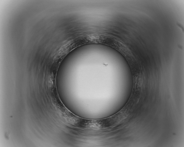 X0000102290702200808011513