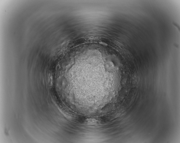 X0000102290703200808011513