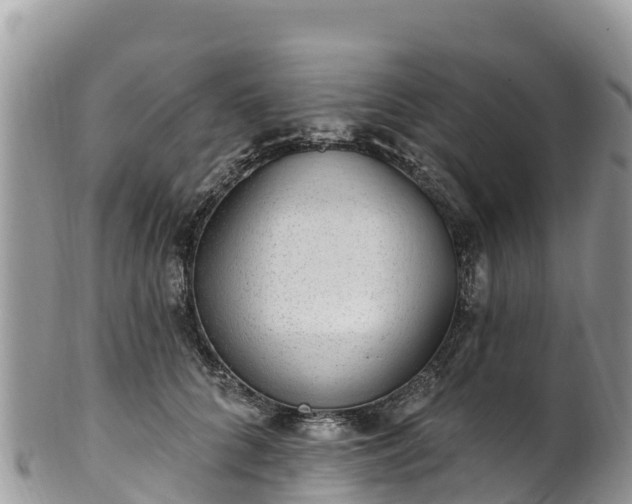 X0000102290704200808011513