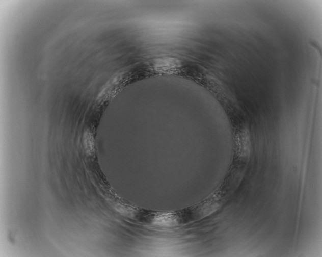 X0000102290705200808011513