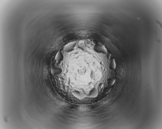 X0000102290707200808011513