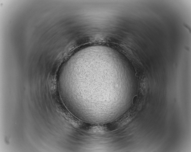 X0000102290708200808011513