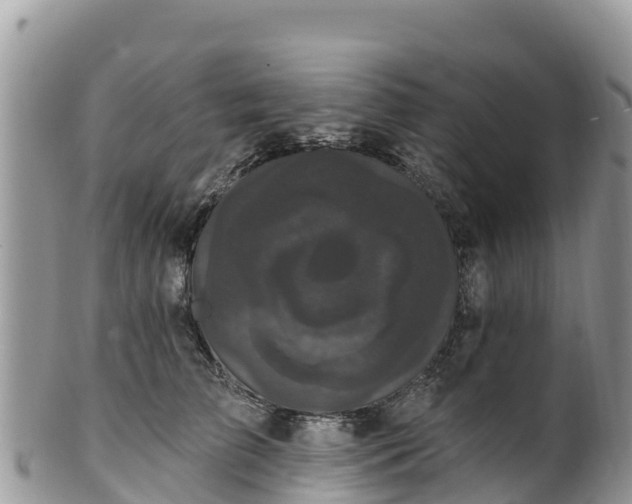 X0000102290709200808011513