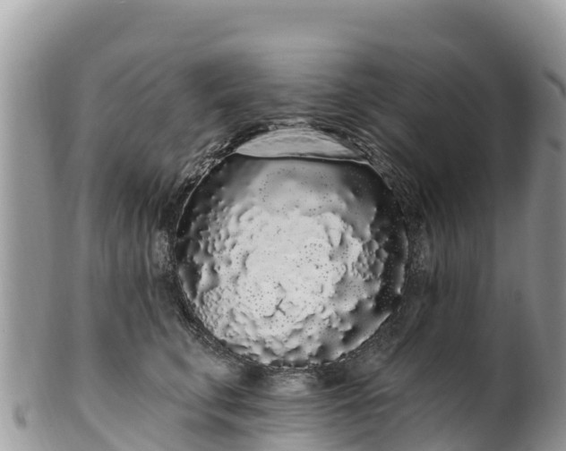 X0000102290711200808011513