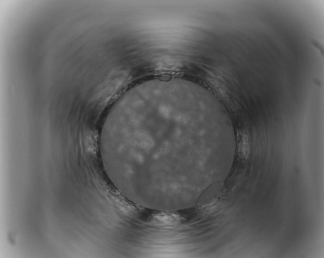 X0000102290712200808011513