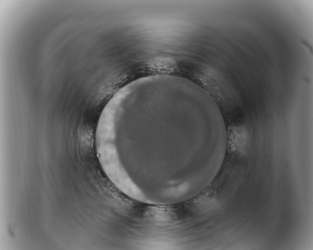 X0000102290713200808011513