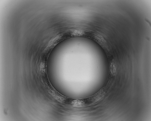 X0000102290714200808011513