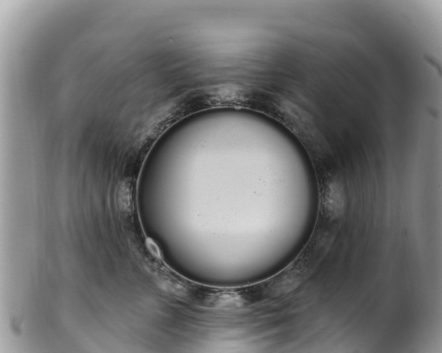 X0000102290715200808011513