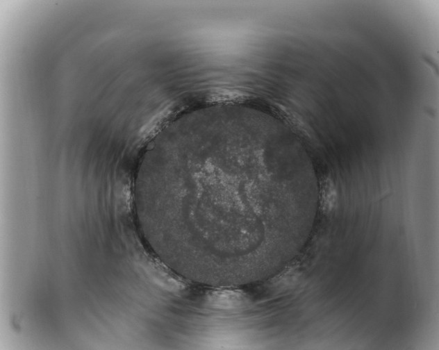 X0000102290716200808011513