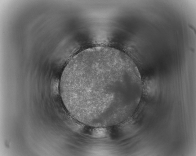 X0000102290717200808011513