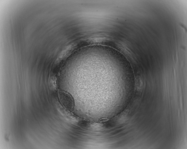 X0000102290718200808011513