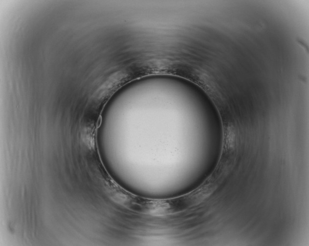 X0000102290719200808011513