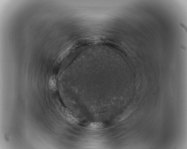 X0000102290720200808011513