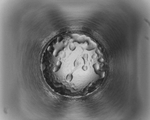 X0000102290721200808011512