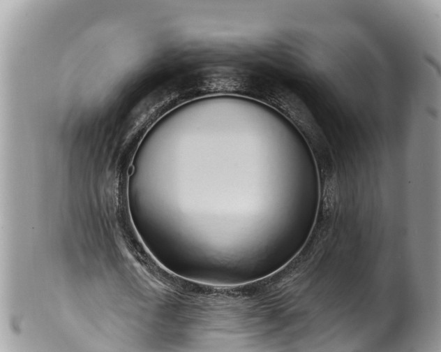 X0000102290722200808011512