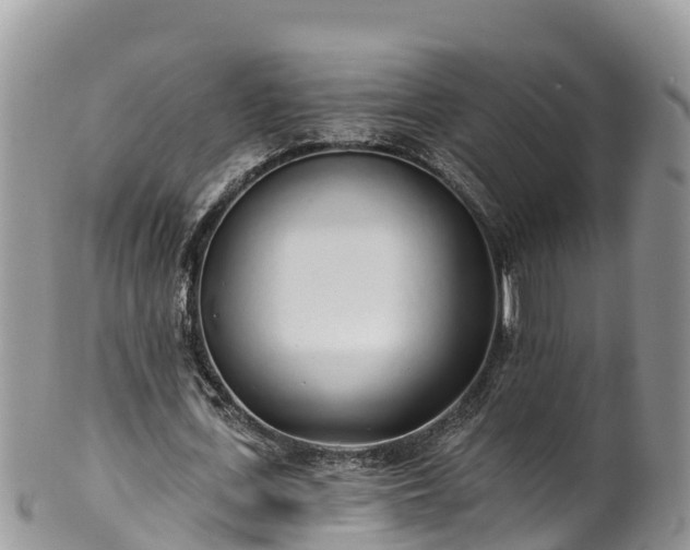 X0000102290723200808011512