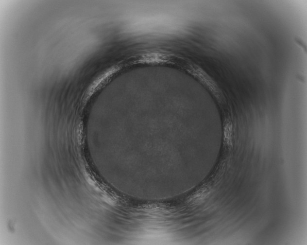 X0000102290724200808011512