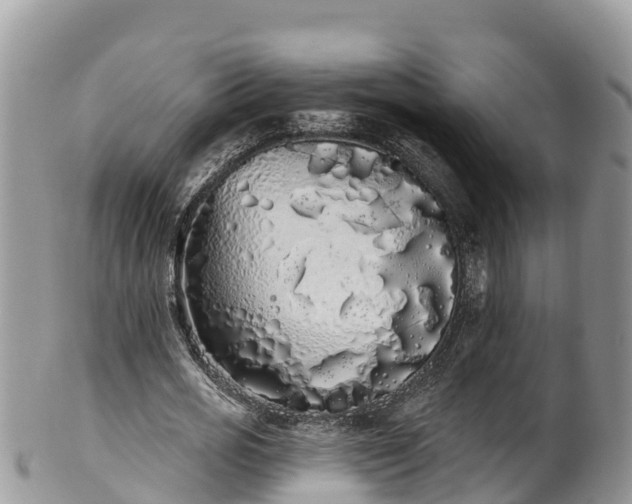 X0000102290725200808011512