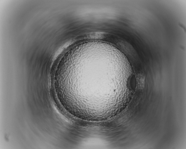 X0000102290726200808011512