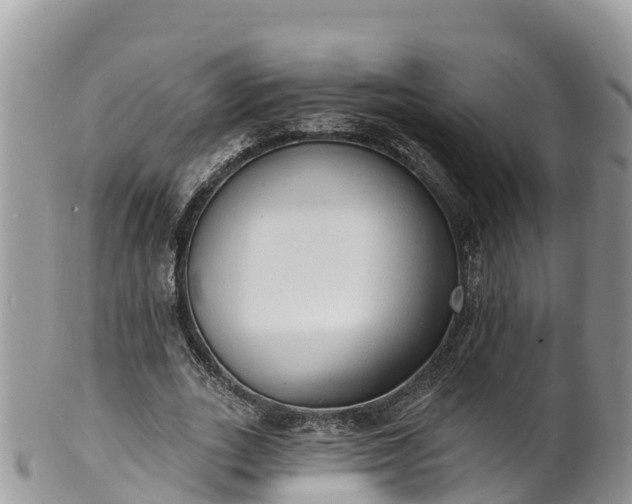 X0000102290727200808011512