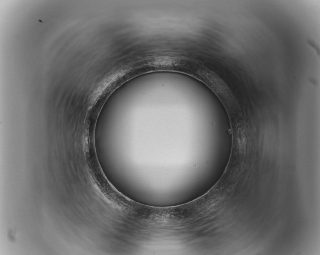 X0000102290728200808011512