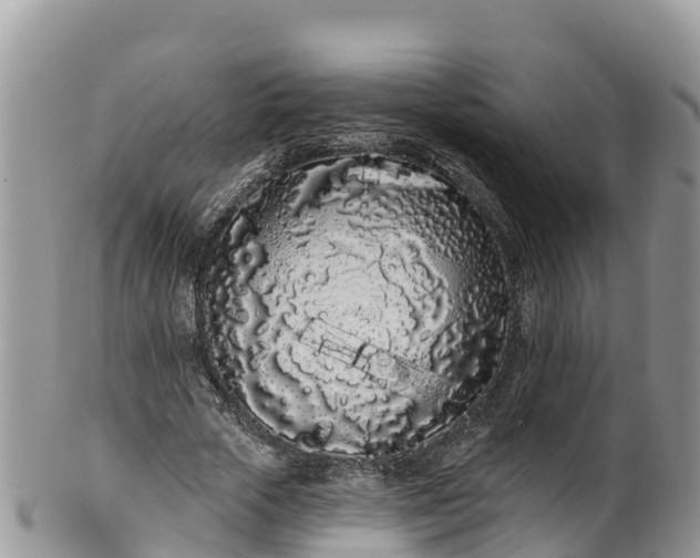 X0000102290729200808011512