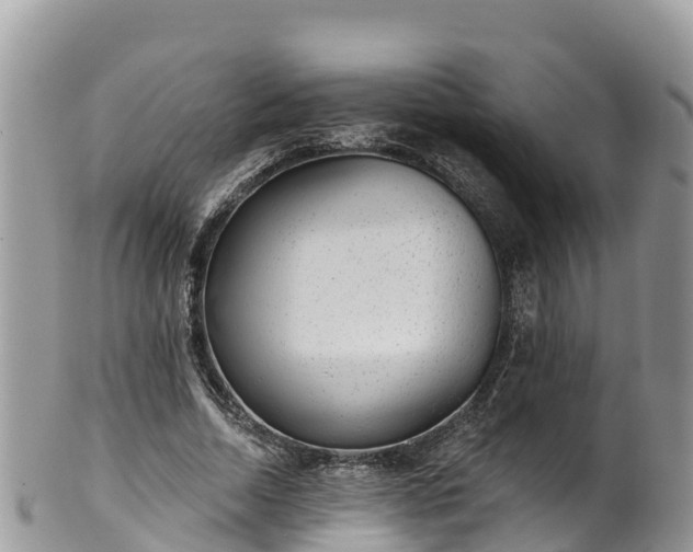 X0000102290730200808011512