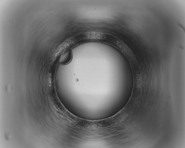 X0000102290731200808011512