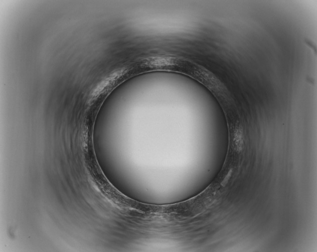 X0000102290732200808011512