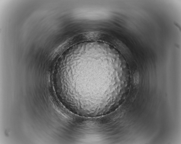 X0000102290733200808011512