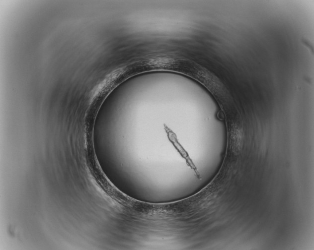 X0000102290734200808011512