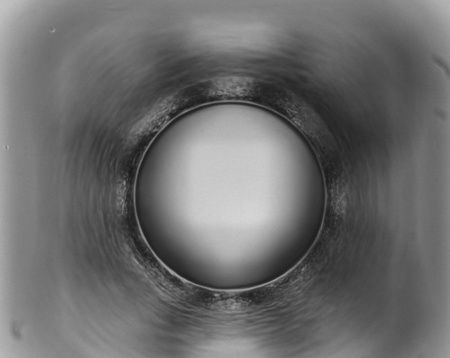 X0000102290735200808011512